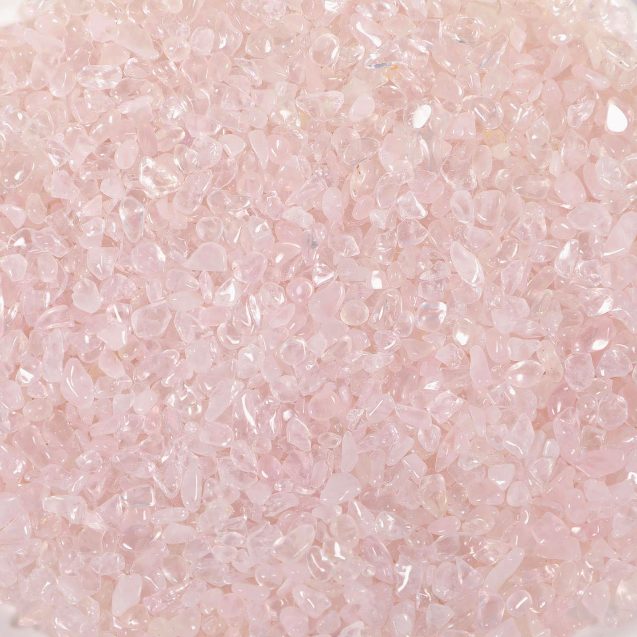 【P01】Peach Blossom (Buy 1 shovel get 2 shovels!)