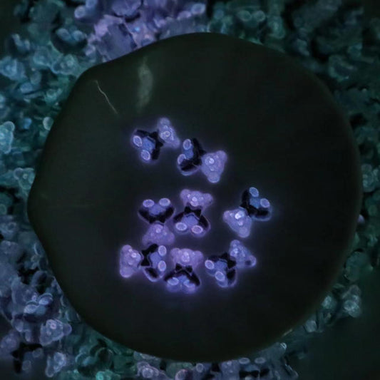 【M01】Magic Bear (Buy 1 shovel get 2 shovels!)